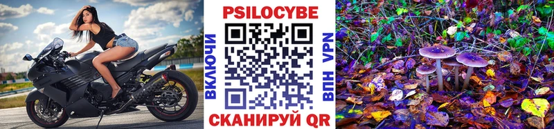 Псилоцибиновые грибы Psilocybe  Купить где  Верхний Тагил 